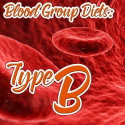 Diet - Type B