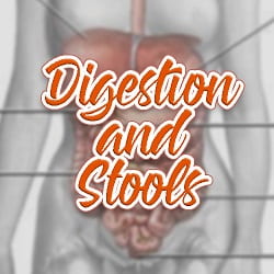 healthy Digestion and Stools