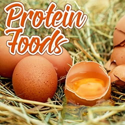 Foods High In Protein Australia