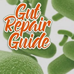 Microbiome Repair Guide