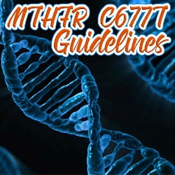 MTHFR Essentials