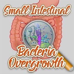Small intestinal Bacterial Overgrowth