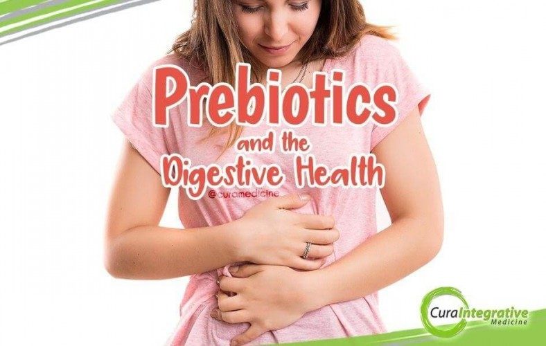 Prebiotics and ​the Digestive Health