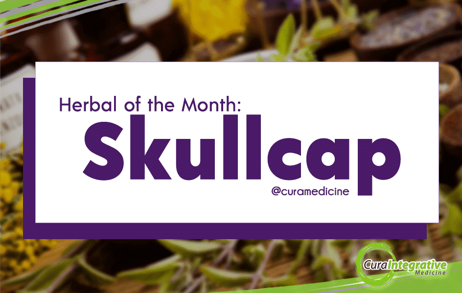 Herbal of the Month – Skullcap