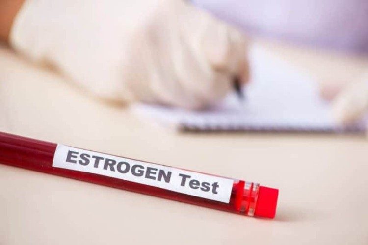 Oestrogen and Functional Testing