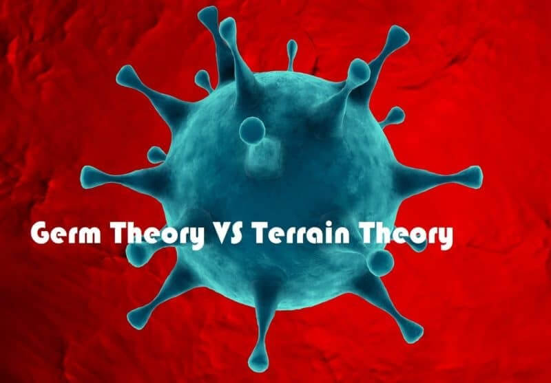 Rethinking our Health Model – Germ Vs Terrain Theory