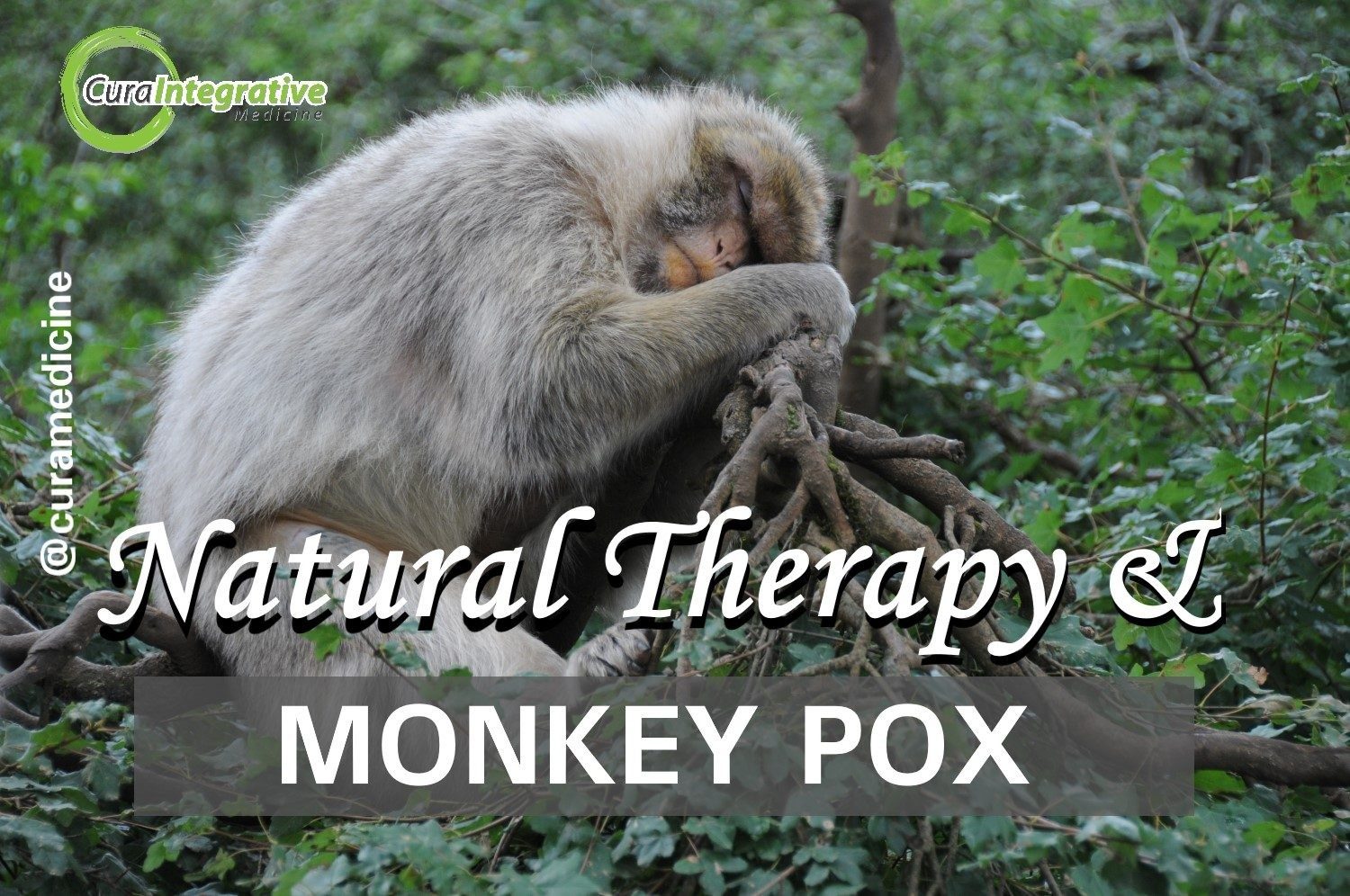 Natural Medicine For Monkey Pox