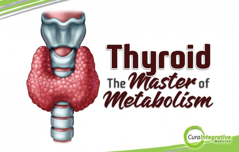 Thyroid – The Master of Metabolism