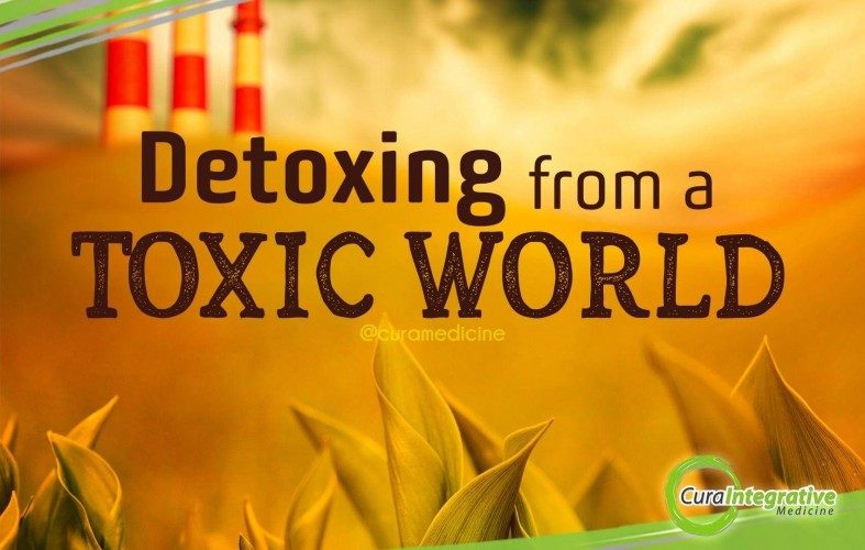 Detoxing from a Toxic World