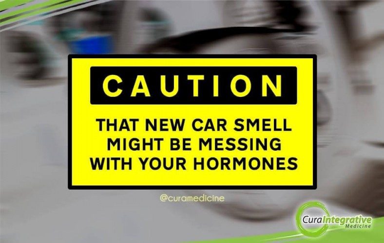 That New Car Smell Might Be Messing With Your Hormones