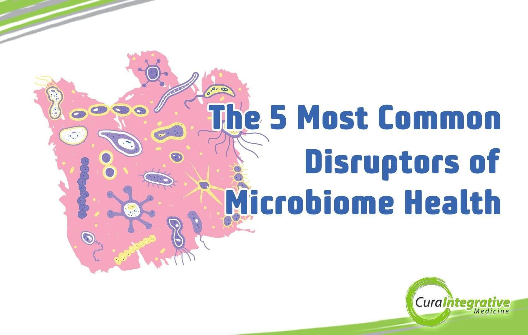 The 5 Most Common Disruptors of Microbiome Health