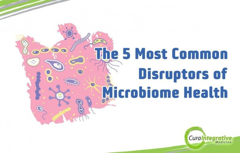 The 5 Most Common Disruptors of Microbiome Health