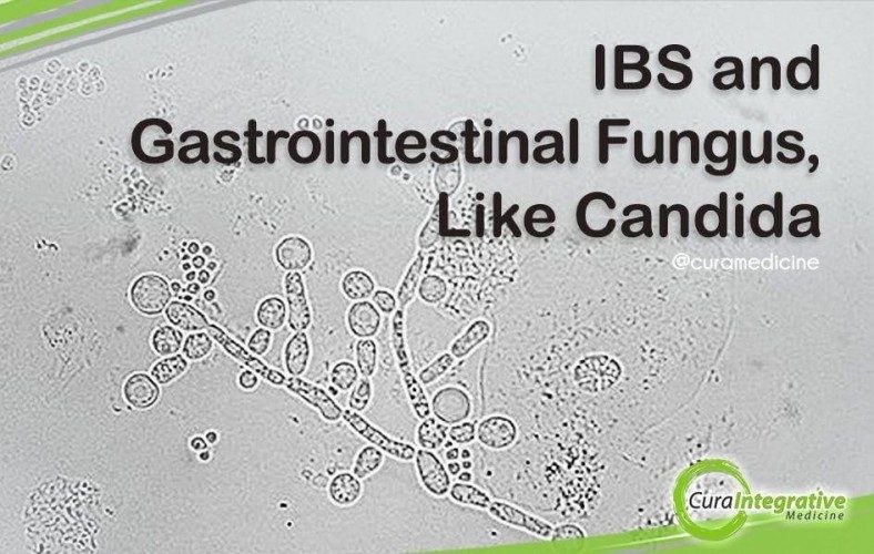 IBS and gastrointestinal fungus like Candida